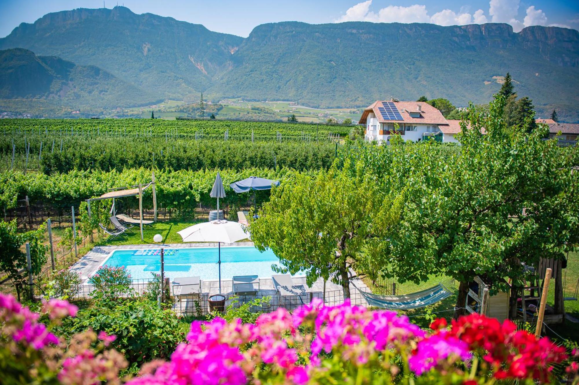 Lochererhof Apartamento Appiano Sulla Strada Del Vino Exterior foto