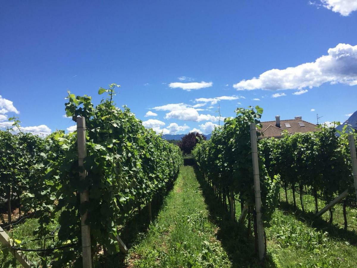 Lochererhof Apartamento Appiano Sulla Strada Del Vino Exterior foto