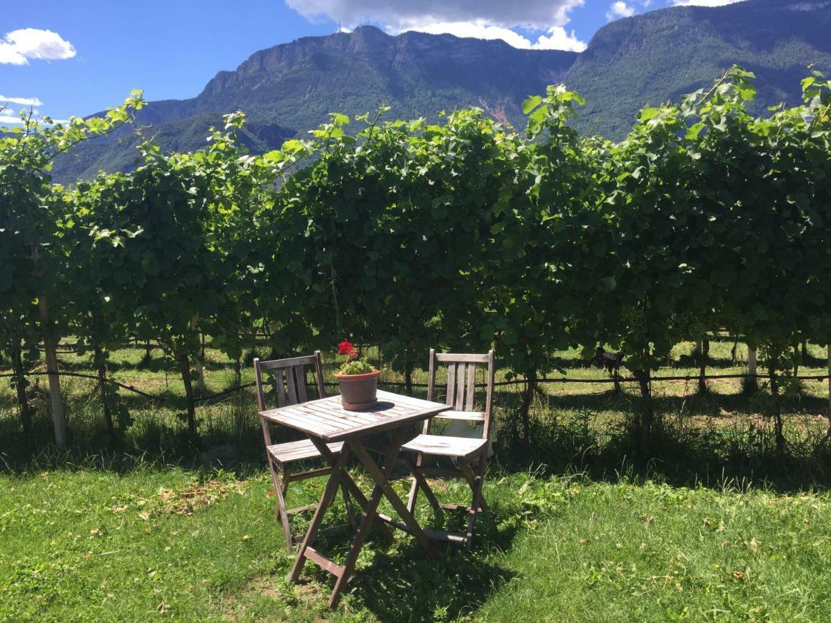 Lochererhof Apartamento Appiano Sulla Strada Del Vino Exterior foto