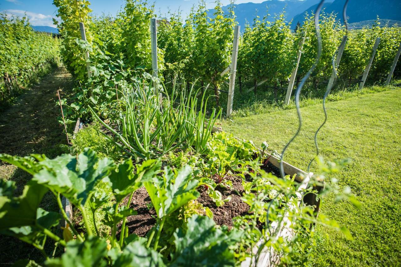 Lochererhof Apartamento Appiano Sulla Strada Del Vino Exterior foto